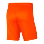 Nike Park III Knit Jr BV6865-819 Shorts – Obrázok 3