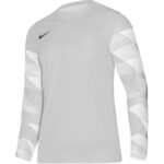 Nike Dry Park IV M T-shirt CJ6066-052
