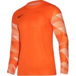 Nike Dry Park IV M T-shirt CJ6066-819