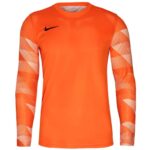 Nike Dry Park IV M T-shirt CJ6066-819 – Obrázok 2