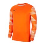 Nike Dry Park IV M T-shirt CJ6066-819 – Obrázok 4