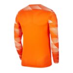 Nike Dry Park IV M T-shirt CJ6066-819 – Obrázok 5