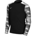 Nike Dry Park IV JSY LS GK Jr CJ6072-010 Jersey – Obrázok 5