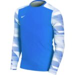 Nike Dry Park IV JSY LS GK Jr CJ6072-463 – Obrázok 5