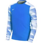 Nike Dry Park IV JSY LS GK Jr CJ6072-463 – Obrázok 9