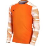 Nike Dry Park IV JSY LS GK Jr CJ6072-819 – Obrázok 4