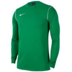 Nike Y Dry Park 20 Crew Jr Sweatshirt BV6901 302