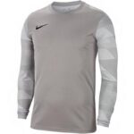 Nike Dry Park IV JSY LS GK Jr CJ6072-052 Jersey – Obrázok 4