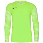 Nike Dry Park IV JSY LS GK Jr CJ6072-702 Jersey – Obrázok 2