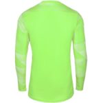 Nike Dry Park IV JSY LS GK Jr CJ6072-702 Jersey – Obrázok 3
