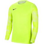 Nike Dry Park IV JSY LS GK Jr CJ6072-702 Jersey – Obrázok 4