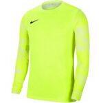 Nike Dry Park IV JSY LS GK Jr CJ6072-702 Jersey – Obrázok 6