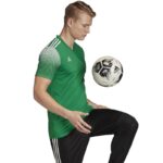Adidas Regista 20 Jersey M FI4559 – Obrázok 12