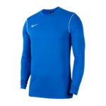 Nike Park 20 Crew Jr BV6901-463 sweatshirt