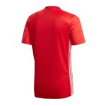 Adidas Campeon 21 M T-shirt FT6763 – Obrázok 2