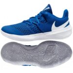 Nke Zoom Hyperspeed Court M CI2964410-S Volleyball Shoes
