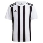 Adidas Striped 21 JSY M T-shirt GV1377