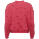 Kappa Ignara Sweatshirt W 309091 18-2120 – Obrázok 3