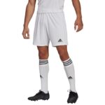 adidas Squadra 21 Short M GN5774 – Obrázok 20