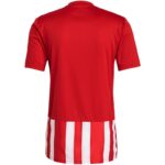 adidas Striped 21 Jersey M GN7624 – Obrázok 2