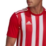adidas Striped 21 Jersey M GN7624 – Obrázok 20