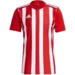 adidas Striped 21 Jersey M GN7624 – Obrázok 9
