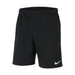 Nike Park 20 Fleece Jr CW6932-010 Shorts