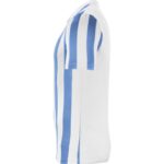 Nike Striped Division IV M CW3813-103 Football Jersey – Obrázok 3