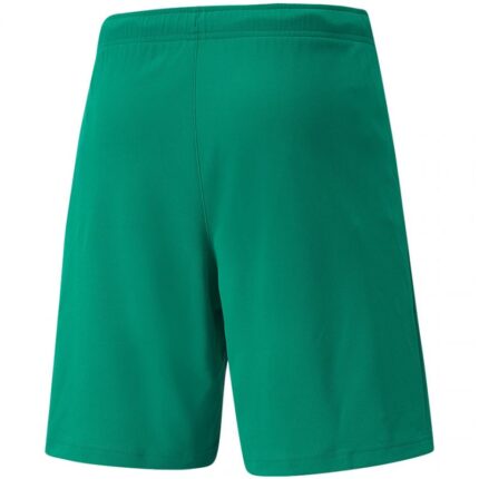 Puma teamRISE Shorts M 704942 05