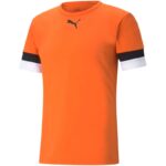 Puma teamRise Jersey M 704932 08 – Obrázok 5