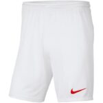 Nike Y Park III Jr BV6865 103 Shorts