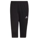 adidas Entrada 22 3/4 Panty M HB0576
