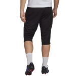 adidas Entrada 22 3/4 Panty M HB0576 – Obrázok 4