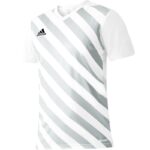 adidas Entrada 22 Graphic Jersey Jr HF0120