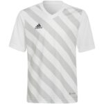 adidas Entrada 22 Graphic Jersey Jr HF0120 – Obrázok 2
