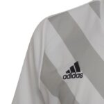 adidas Entrada 22 Graphic Jersey Jr HF0120 – Obrázok 11