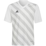 adidas Entrada 22 Graphic Jersey Jr HF0120 – Obrázok 12