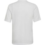 adidas Entrada 22 Graphic Jersey Jr HF0120 – Obrázok 13