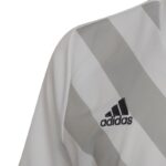 adidas Entrada 22 Graphic Jersey Jr HF0120 – Obrázok 16