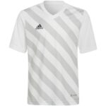adidas Entrada 22 Graphic Jersey Jr HF0120 – Obrázok 7