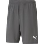 Puma teamRise Shorts M 704942 13