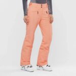 Salomon EDGE Snowboard Pants W LC1387 400 – Obrázok 5