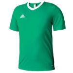 adidas Entrada 22 Jersey Jr HI2126
