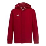 Adidas Entrada 22 All-weather Jr HG6300 jacket