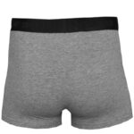 4F Men's Briefs M H4L22-BIM350-90M boxer shorts – Obrázok 7