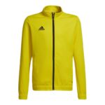 Adidas Entrada 22 Track Jr sweatshirt HI2139