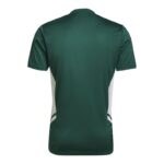 Adidas Condivo 22 M T-shirt HE3057 – Obrázok 2