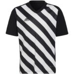 adidas Entrada 22 Graphic Jersey Jr HF0123 – Obrázok 2