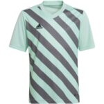 adidas Entrada 22 Graphic Jersey Jr HF0127 – Obrázok 12