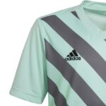 adidas Entrada 22 Graphic Jersey Jr HF0127 – Obrázok 4